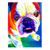 Bulldog #2 postcards
