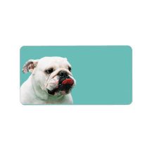 Bulldog Address Label