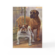 Bulldog and Mastiff Vintage Greeting Card