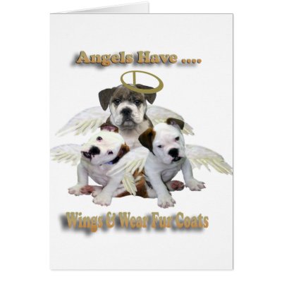 Bulldog Angels Have Wings & Fur Coats Cards by friskybiz
