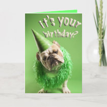 bulldog_birthday_card-p137680959573415301tdtu_210.jpg
