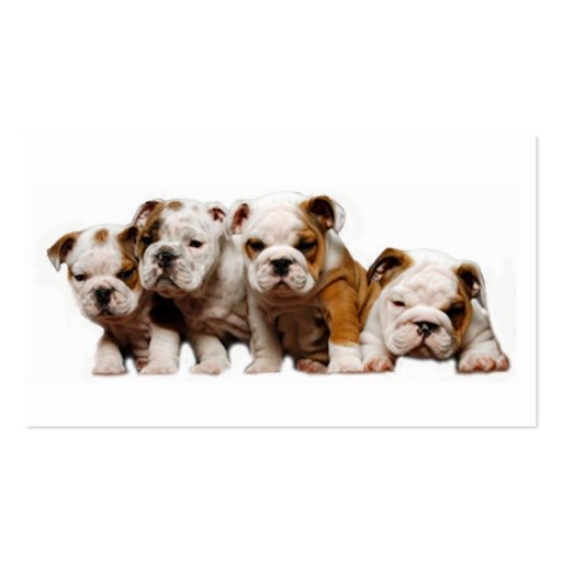 Bulldog Breeder Business Card