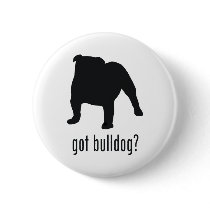 Bulldog Pinback Button