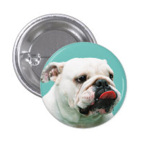Bulldog Button