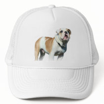 bulldog cap mesh hats