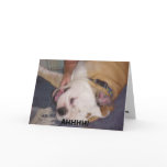 Bulldog card