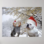 Bulldog Christmas in snow scene poster