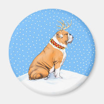 Bulldog Christmas Reindeer Red & White magnets