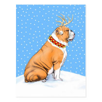 Bulldog Christmas Reindeer Red & White postcards