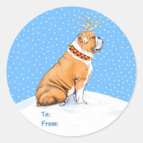 Bulldog Christmas Reindeer Red & White stickers