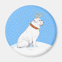Bulldog Christmas Reindeer White magnets