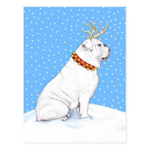 Bulldog Christmas Reindeer White postcards