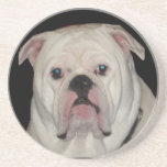 Bulldog Coasters Bulldog Coasters