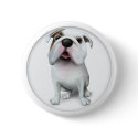 Bulldog (English) Button button