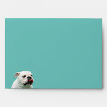 Bulldog Envelope
