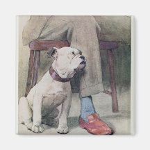 Bulldog Fridge Magnets