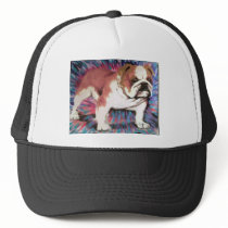 Bulldog Mesh Hats