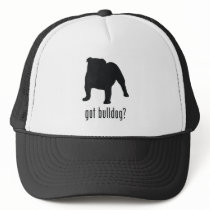 Bulldog Hats