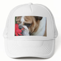 Bulldog Hat "take time to smell the flowers" by jluvabull Bulldog Hat "take time to smell the flowers"