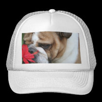 Bulldog Hat "take time to smell the flowers" hats