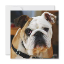 Bulldog Invitation
