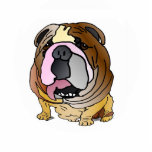 Bulldog Jewelry Pin Photo Sculptures
