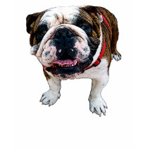 Bulldog Kids Ringer T-Shirt