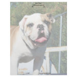Bulldog letterhead