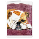 Bulldog - Lily cards by dogportraitsbymel Bulldog - Lily cards