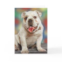 Bulldog Love cards