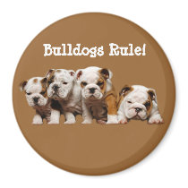 Bulldog Magnet