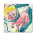 Bulldog - Magnet