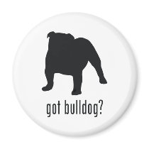 Bulldog Magnet