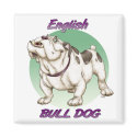bulldog magnets
