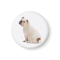 Bulldog Magnet