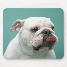Bulldog Mouse Pads