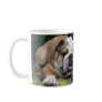Bulldog Mug