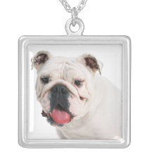 Bulldog Necklace