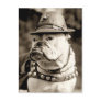 Bulldog on patrol wearing hat and cape postcard