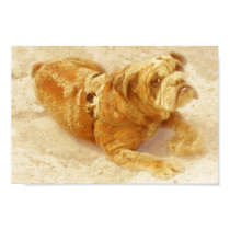 Bulldog on the Beach. posters by JDAKers Bulldog on the Beach. posters