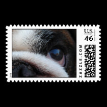 Bulldog Otto Postage stamps