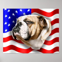 Bulldog Patriot US Flag Posters