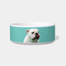 Bulldog Pet Bowl