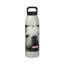 Bulldog Photo Water Bottle