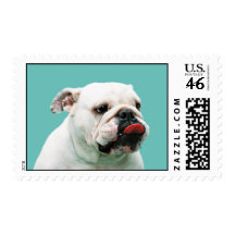 Bulldog Postage