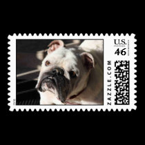 Bulldog Postage Stamp stamps