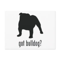 Bulldog Post Card
