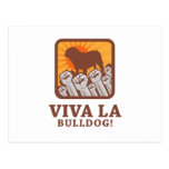 Bulldog Postcard