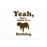 Bulldog Postcards