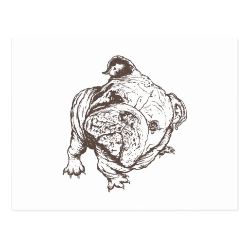 Bulldog Postcards